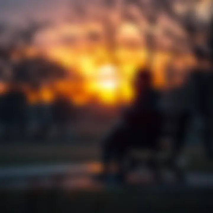 A person sitting on a park bench looking thoughtful, surrounded by trees and a sunset, representing reflection on existence after death.