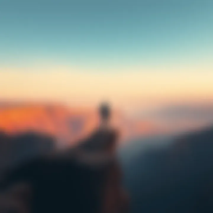 Contemplative Figure Gazing into the Abyss A solitary figure stands on the edge of a vast canyon, contemplating the expanse before them, symbolizing the search for meaning in the transient nature of existence.