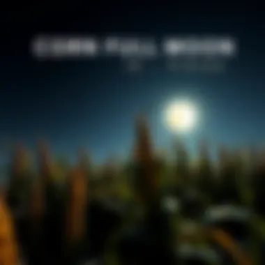 Corn Full Moon in Pisces A bright full moon shining over a field of corn, symbolizing the Corn Moon and its emotional energy