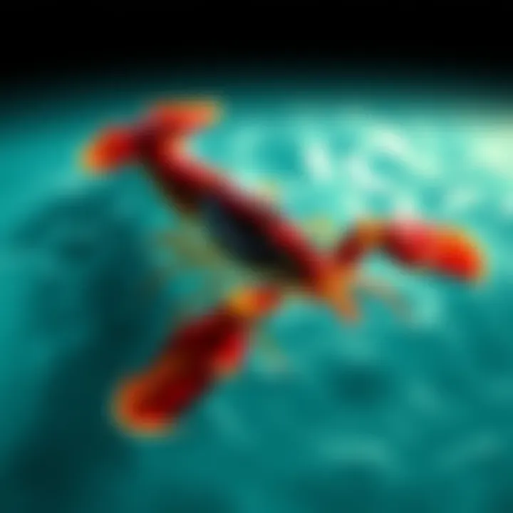 A crayfish swimming in clear water, symbolizing personal growth and animal totems connected to the I Ching.