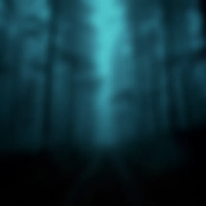 A dark, eerie forest path with fog, indicating a strange and unsettling atmosphere.