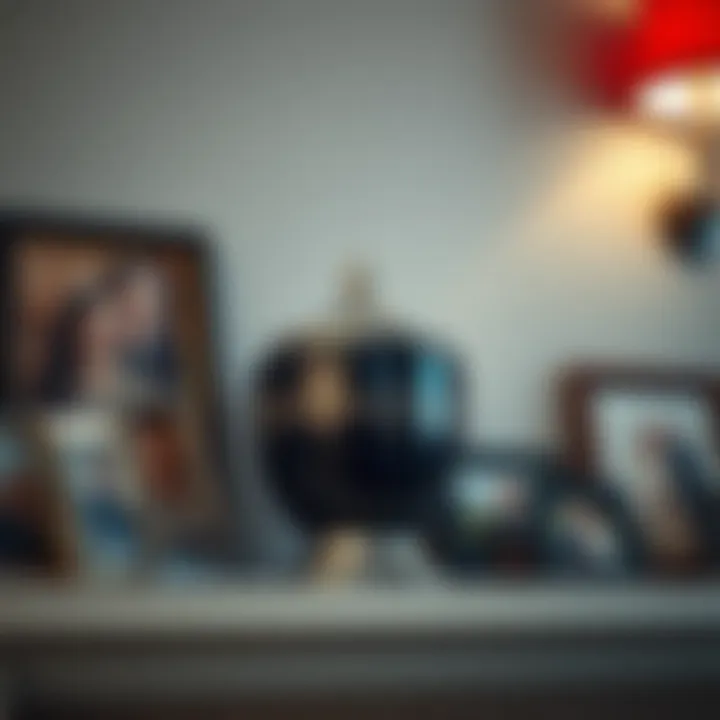 A decorative urn holding ashes sits on a mantle, surrounded by family photos. A somber atmosphere fills the room.