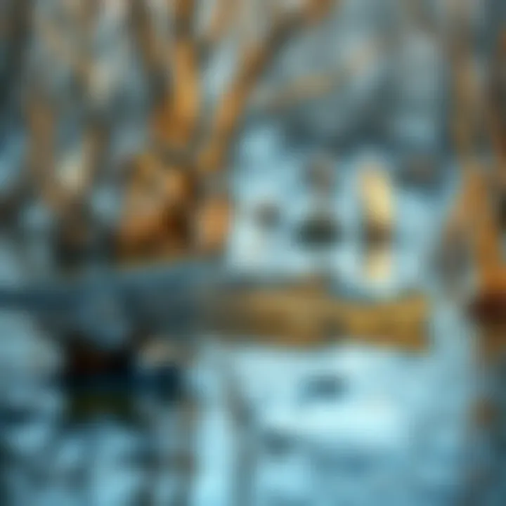 Crocodile near mangroves A crocodile lurking in brackish water surrounded by mangroves, reflecting the tension of a winter day gone wrong.