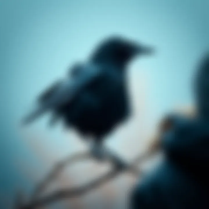 A close-up of a crow sitting on a branch, looking curiously at a person nearby.