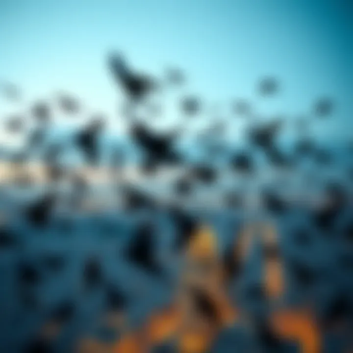 A flock of crows circling in the sky above Tel Aviv, creating a striking pattern against the skyline.