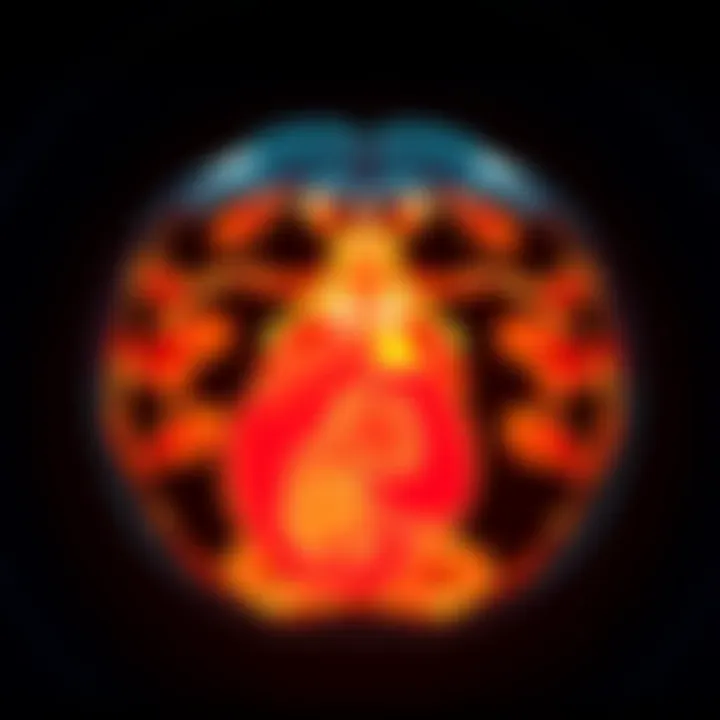 CT Imaging of Pregnant Tridactyl A CT scan showcasing a pregnant tridactyl's anatomy