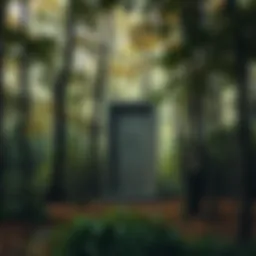 A wooden door standing alone in a dense forest, surrounded by trees and underbrush.