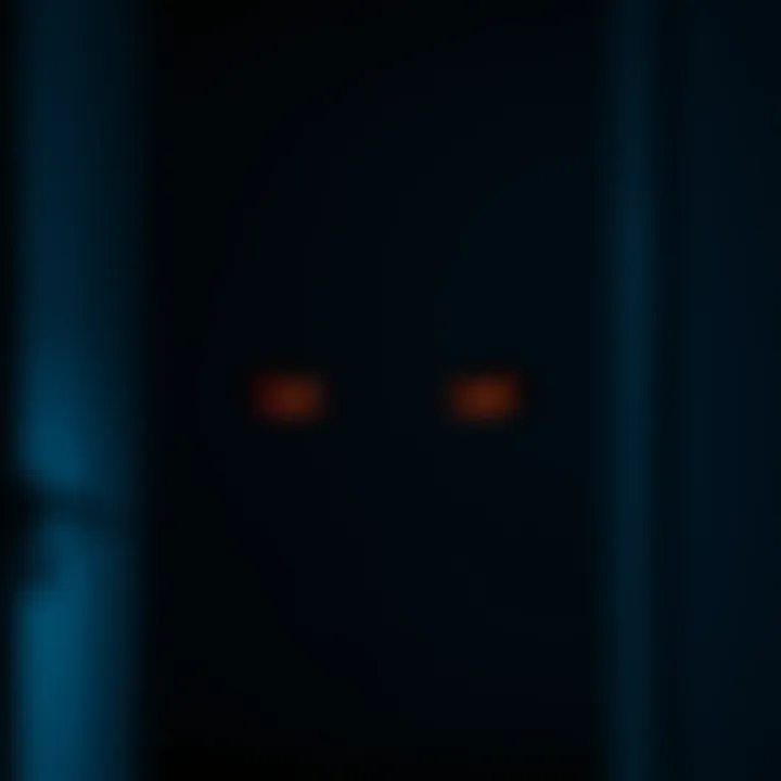 Two pairs of mysterious eyes watching from a shadowy corner of a room