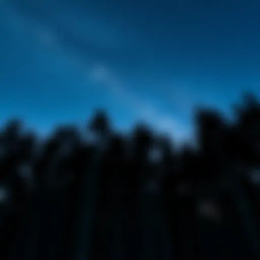 A dark forest filled with tall trees under a starry sky, suggesting the vastness of space.