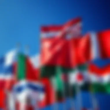 Flags of various countries symbolizing their unique democratic systems
