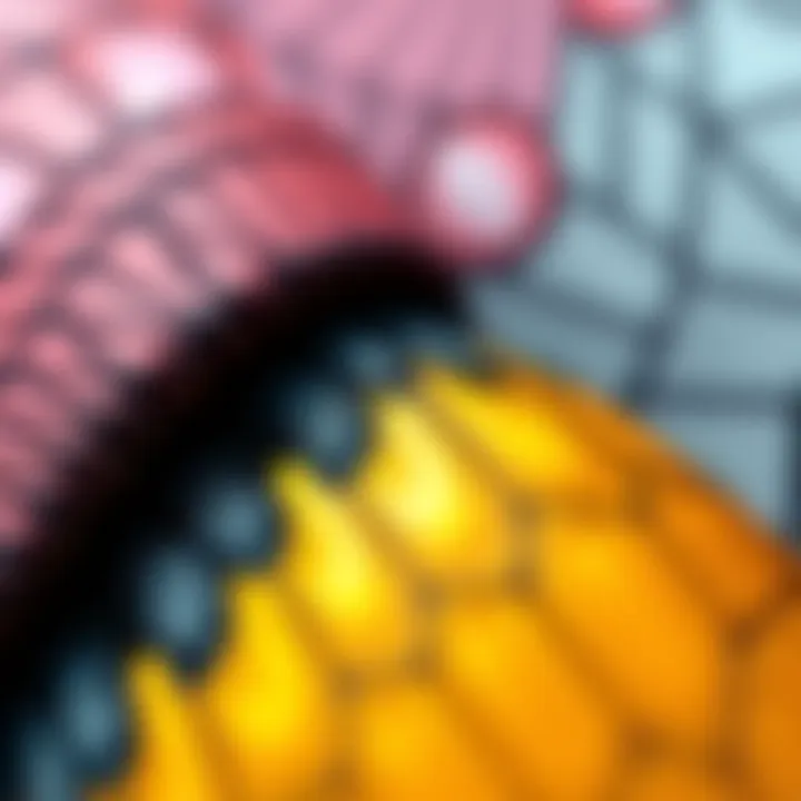 A close-up of a liner pen drawing showing intricate patterns and details, highlighting the artist's unique style and creativity.