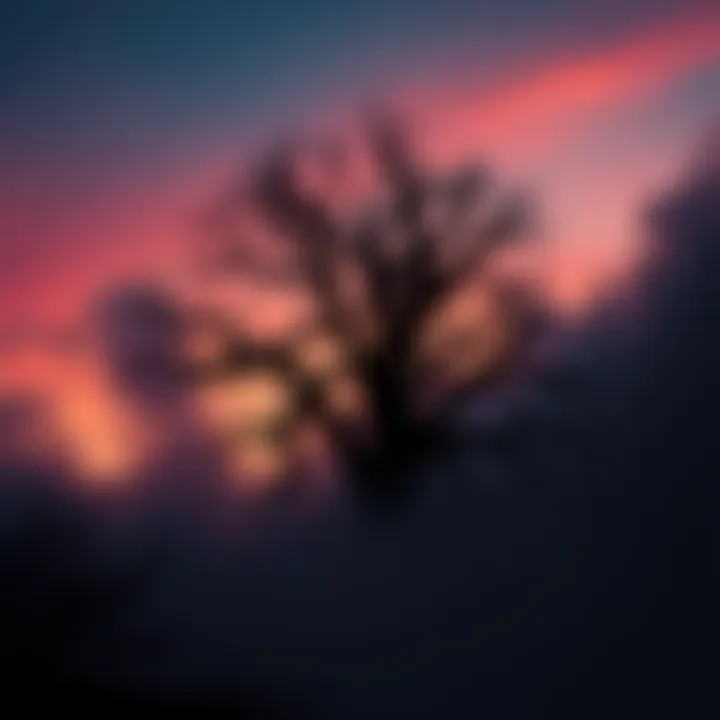 A dark silhouette of Devils Tree surrounded by fog and shadows under a twilight sky