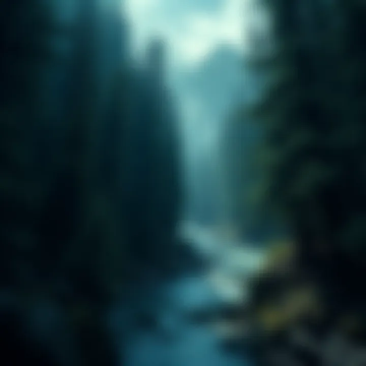 A dense forest with a river in the background, symbolizing mysterious disappearances in national parks.