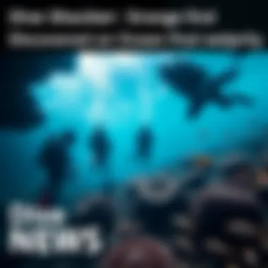 Divers examining an unusual object underwater, surrounded by marine life.