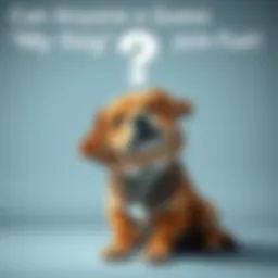 A playful dog sitting with a question mark above its head, inviting guesses about its name.