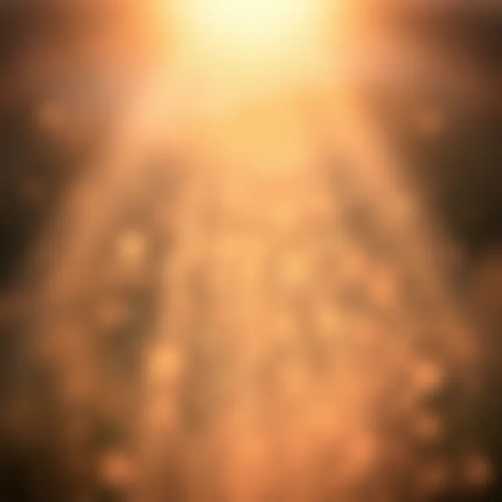 Close-up of dust particles floating in a beam of sunlight, creating a magical atmosphere