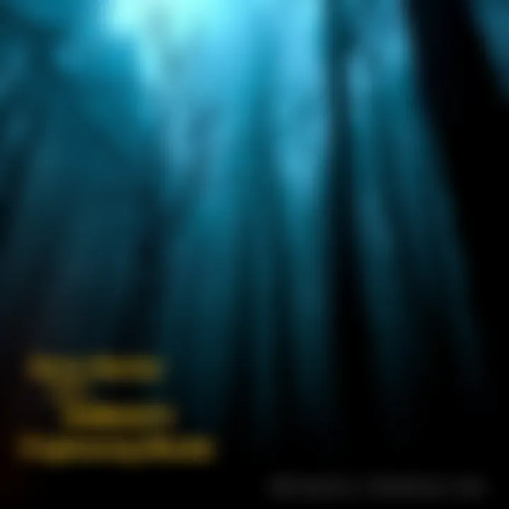 Eerie Woods in Indiana Dark and dense woods in Indiana with mist and tall trees, creating a spooky atmosphere