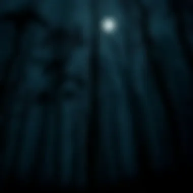 A dark, dense forest with faint moonlight casting shadows, evoking suspense and mystery. Trees are tall and close together, creating a feeling of unease.