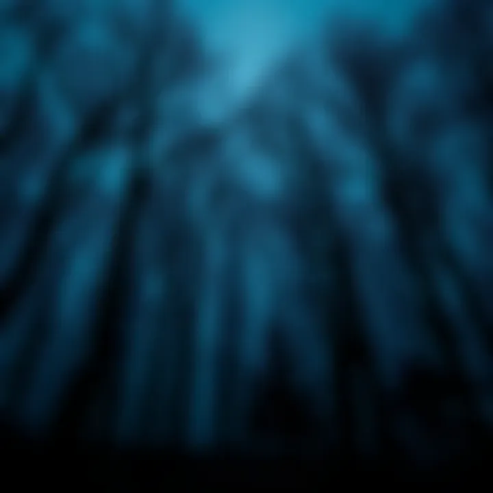 Eerie Woods Sounds A dark forest with trees silhouetted against the night sky, hinting at strange sounds disturbing the peace.