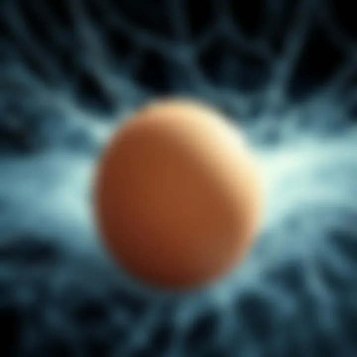 Egg cleanses concept A close-up of an egg surrounded by strands resembling webs, highlighting the confusion around egg cleanses.