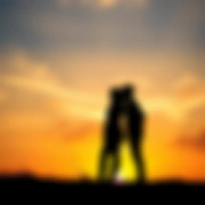 Exploring Emotional Growth Through Separation A silhouette of a couple standing apart against a sunset, symbolizing the journey of love and self-discovery.