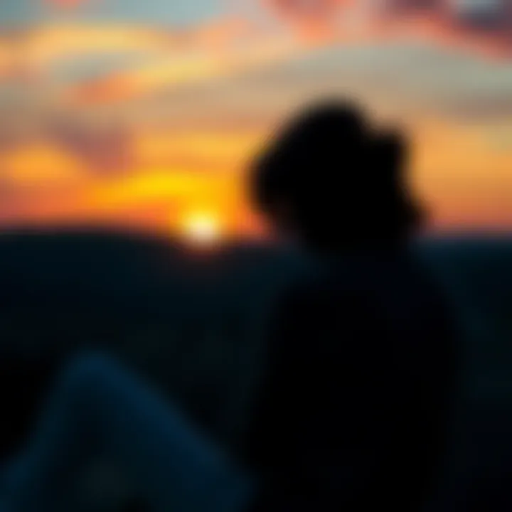 A person sitting alone, looking out at a sunset, symbolizing feelings of loneliness and limited emotional connection beyond their twin.
