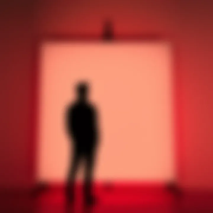 A silhouette of a person standing in front of a blank canvas, symbolizing the search for self-identity and existence.