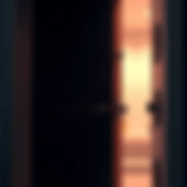 Find at the Front Door A close-up of a door frame showing an unexpected object with curiosity around it