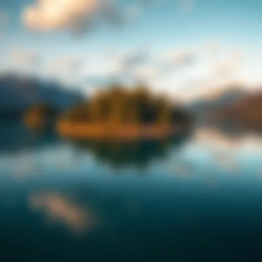 A floating island covered in trees on Williston Lake, British Columbia, surrounded by clear water and mountains.
