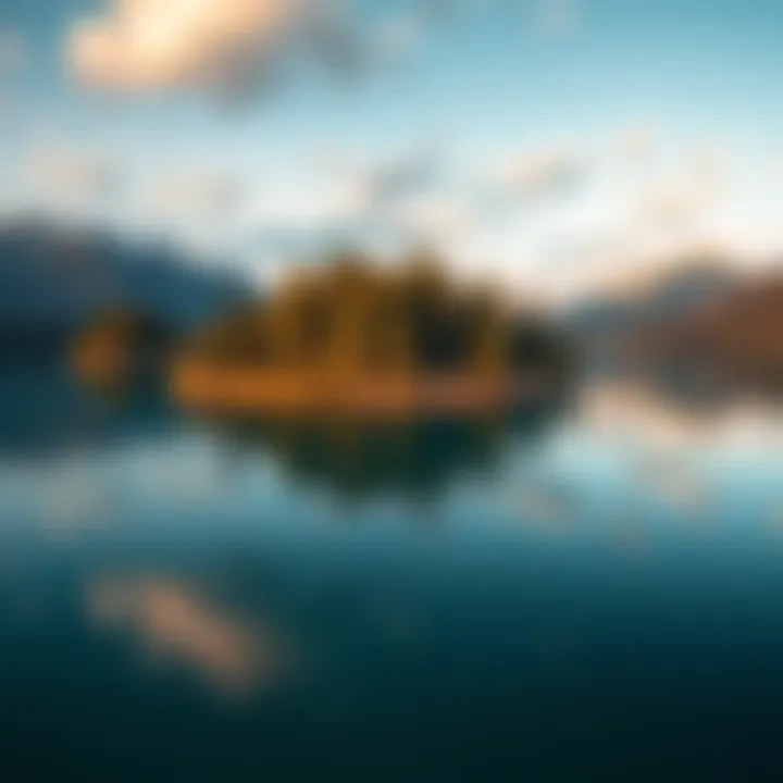A floating island covered in trees on Williston Lake, British Columbia, surrounded by clear water and mountains.