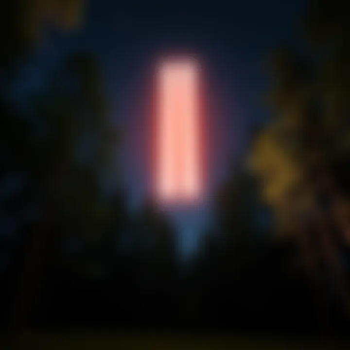 Two bright vertical lights floating above the forest ground at night, with trees in the background