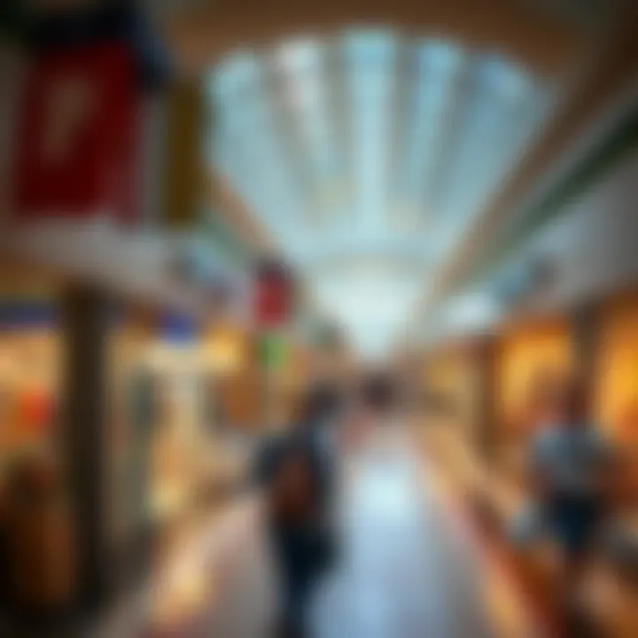 A view of the Florida mall where the incident occurred, showing a busy shopping area with people and stores.