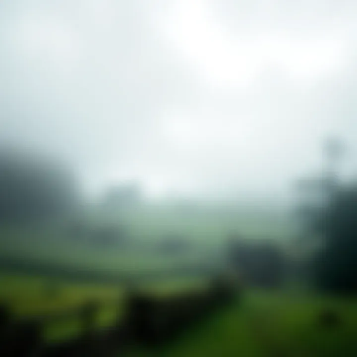 A serene foggy countryside with lush greenery and a cozy cottage, featuring a mysterious woman in the distance.