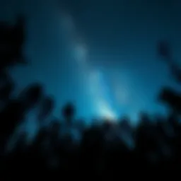 A dark forest under a starry sky, silent and still, as mysterious visitors arrive.