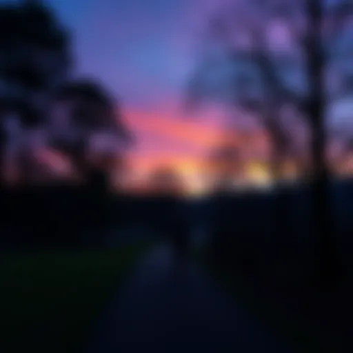 A person walking on a path at Fowlers Hill, surrounded by trees and a faint glow in the sky, suggesting a tranquil evening atmosphere.