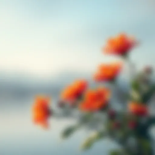 A colorful graphic inviting people to guess a number for a chance to receive a free shadow work reading, featuring bright flowers and a calm background.