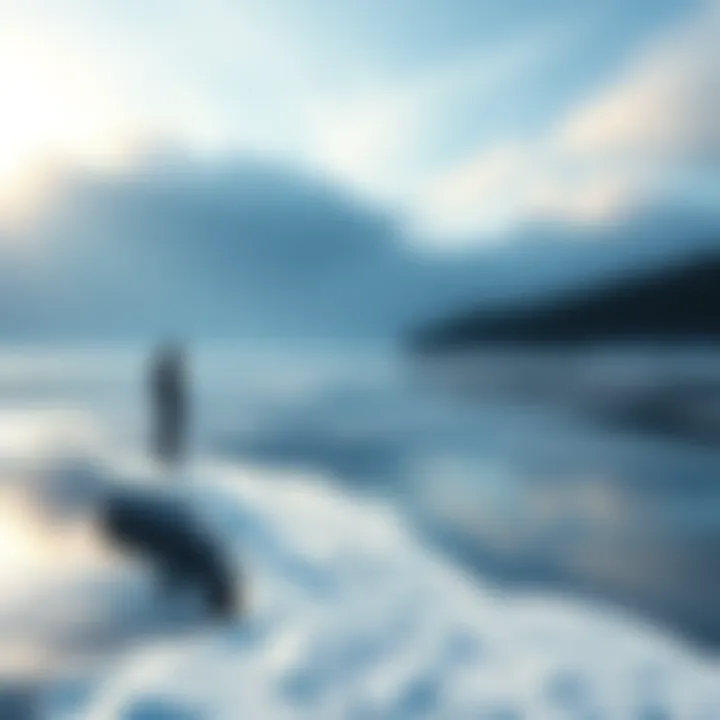 A frozen lake with snow and a solitary figure standing at the edge, looking thoughtful.