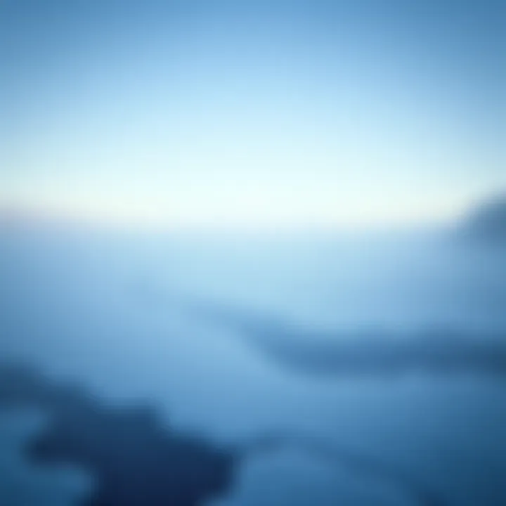 A snowy frozen lake with a distant tree line, hinting at the location where Steven Kubacki vanished while ice fishing.