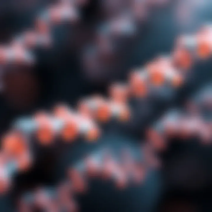 A close-up view of DNA strands representing genetics and their role in aging.
