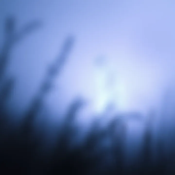 A translucent figure appears in a foggy landscape, representing the concept of ghosts and spirits.