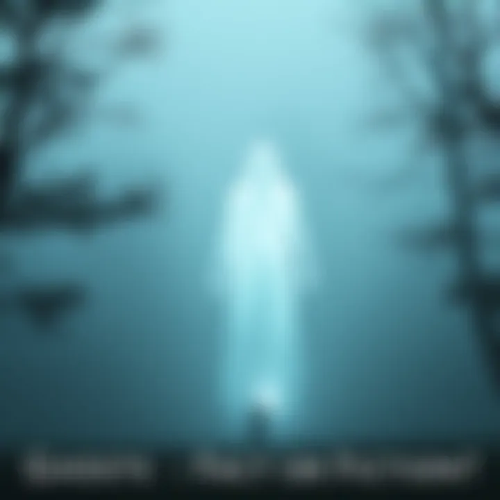 A translucent ghostly figure stands in a foggy environment, surrounded by trees, hinting at the idea of spirits.