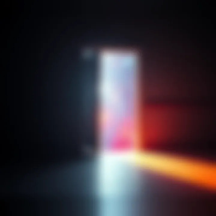 An abstract representation of a locked door with light seeping through the cracks, symbolizing hidden truths and the debate over disclosure.