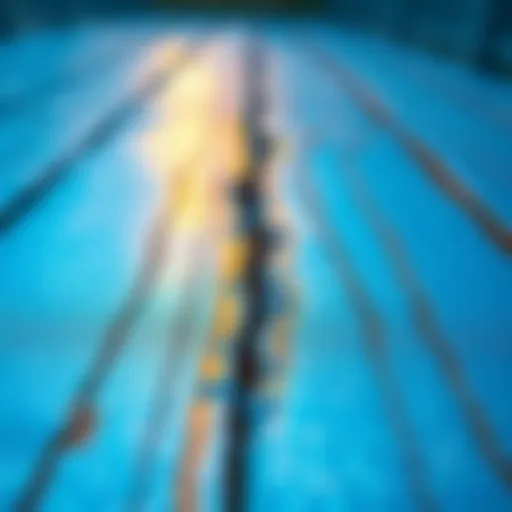 Glittery blue deck with fraying edges A blue, glittery deck showing signs of fading and fraying along the edges