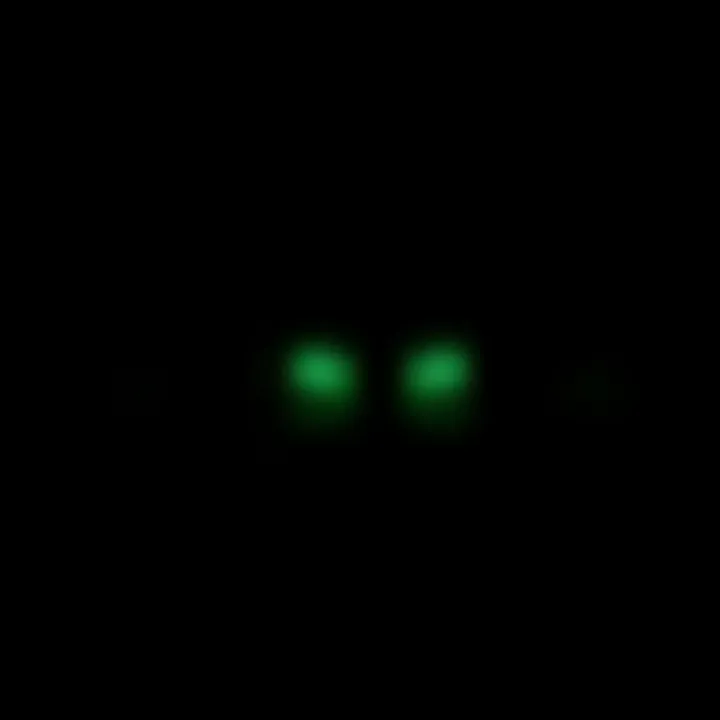 Glowing Green Eyes in the Dark A pair of glowing green eyes peer through a dark doorway, creating a haunting and eerie atmosphere.