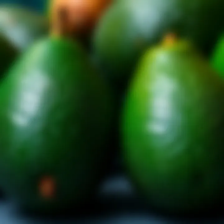 Two types of avocados, Haas and Hass, displayed side by side, showcasing their differences in size and texture.