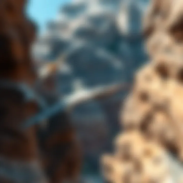 A close-up view of Hammerhead Mantoids in their natural habitat, highlighting their unique shape and coloration against the canyon environment.