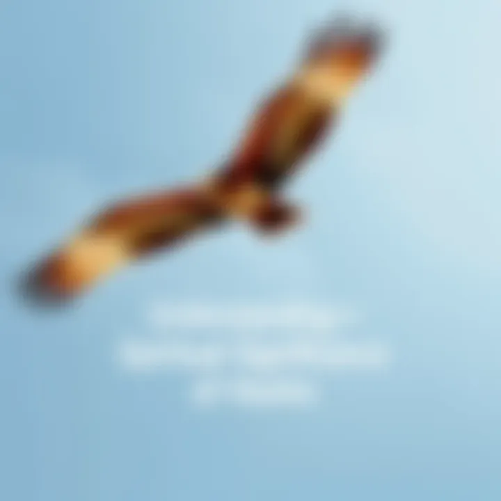 Hawk in flight against a clear sky A hawk soaring gracefully in the sky with its wings spread wide, symbolizing freedom and guidance