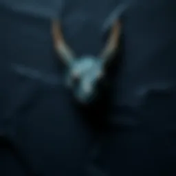 Black paper covering a hidden mythological creature, with a hint of its outline visible