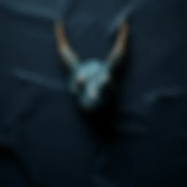 Black paper covering a hidden mythological creature, with a hint of its outline visible