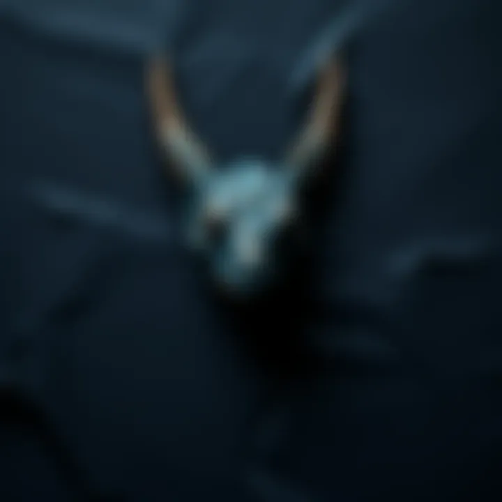 Hidden Mythical Creature Under Paper Black paper covering a hidden mythological creature, with a hint of its outline visible